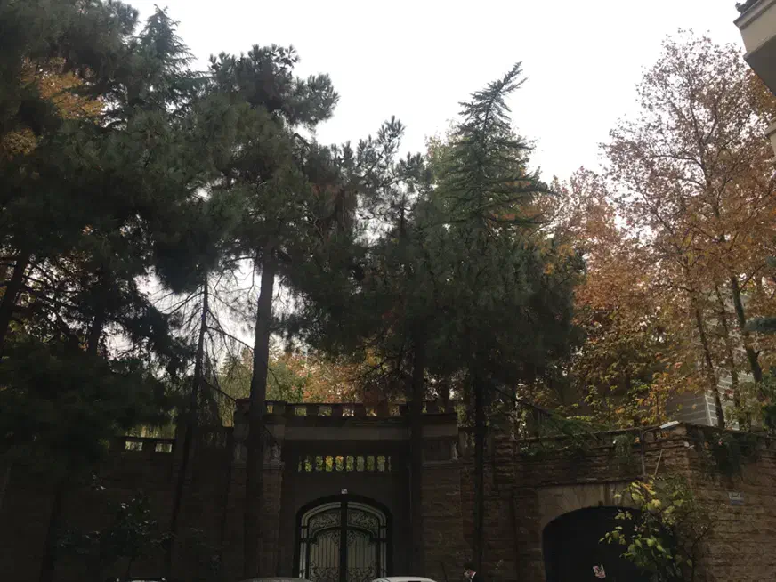 اقدسیه 880 متر ویلایی دربست|فروش خانه و ویلا|تهران, اقدسیه|دیوار