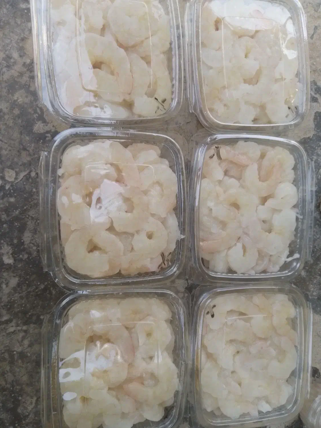 ماهی و میگو|ماهی|قشم, |دیوار