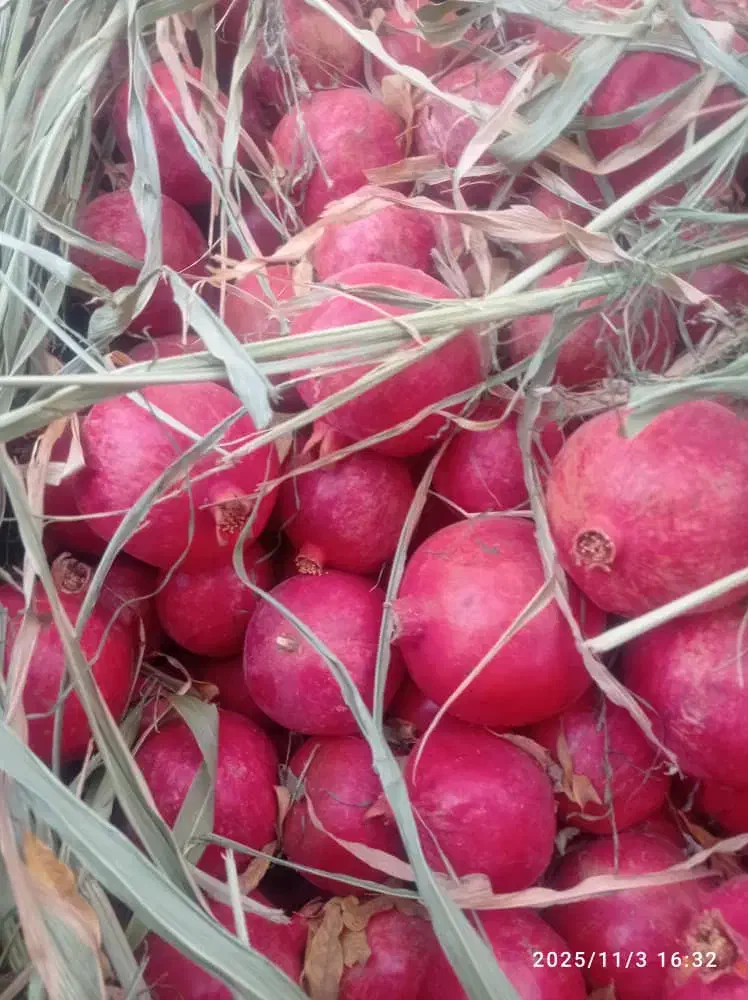 انارشهرضا|عمدهفروشی|زواره, |دیوار