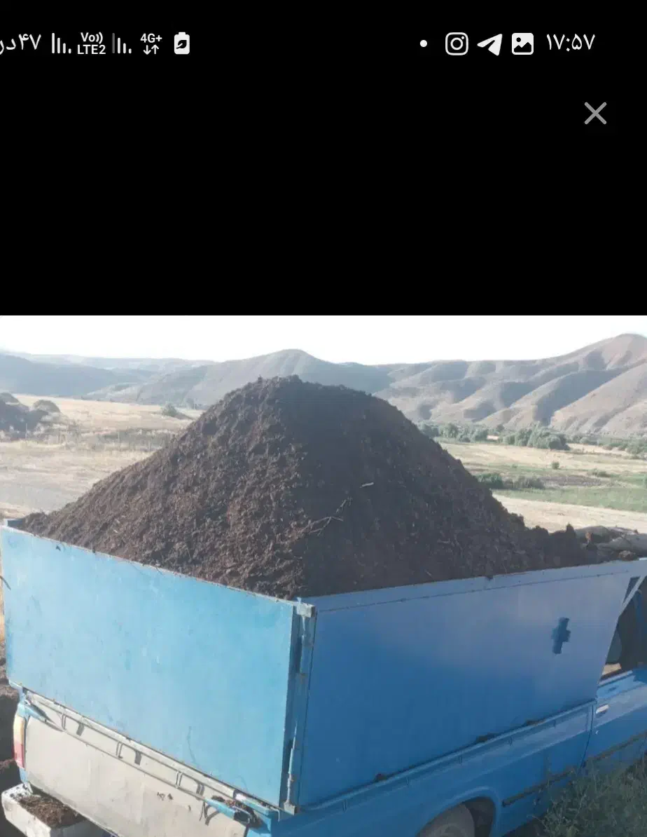 کودحیوانی یا پهین دوساله|خدمات باغبانی و درختکاری|سنندج, |دیوار