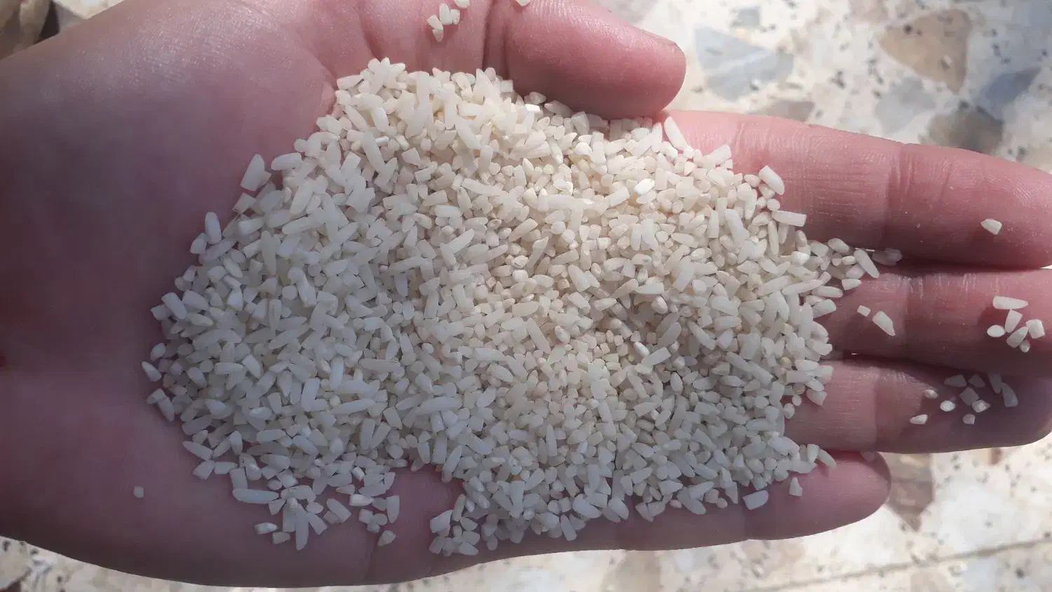 لاشه هاشمی|خوردنی و آشامیدنی|گوراب زرمیخ, |دیوار