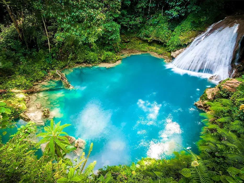 تور یک روزه جنگل و آبگرم بلیران با صبحانه و ناهار|تور و چارتر|قم, دورشهر|دیوار