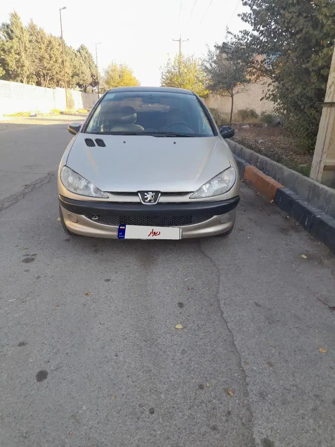 ۲۰۶ اس دی v19|خودرو سواری و وانت|بروجرد, |دیوار