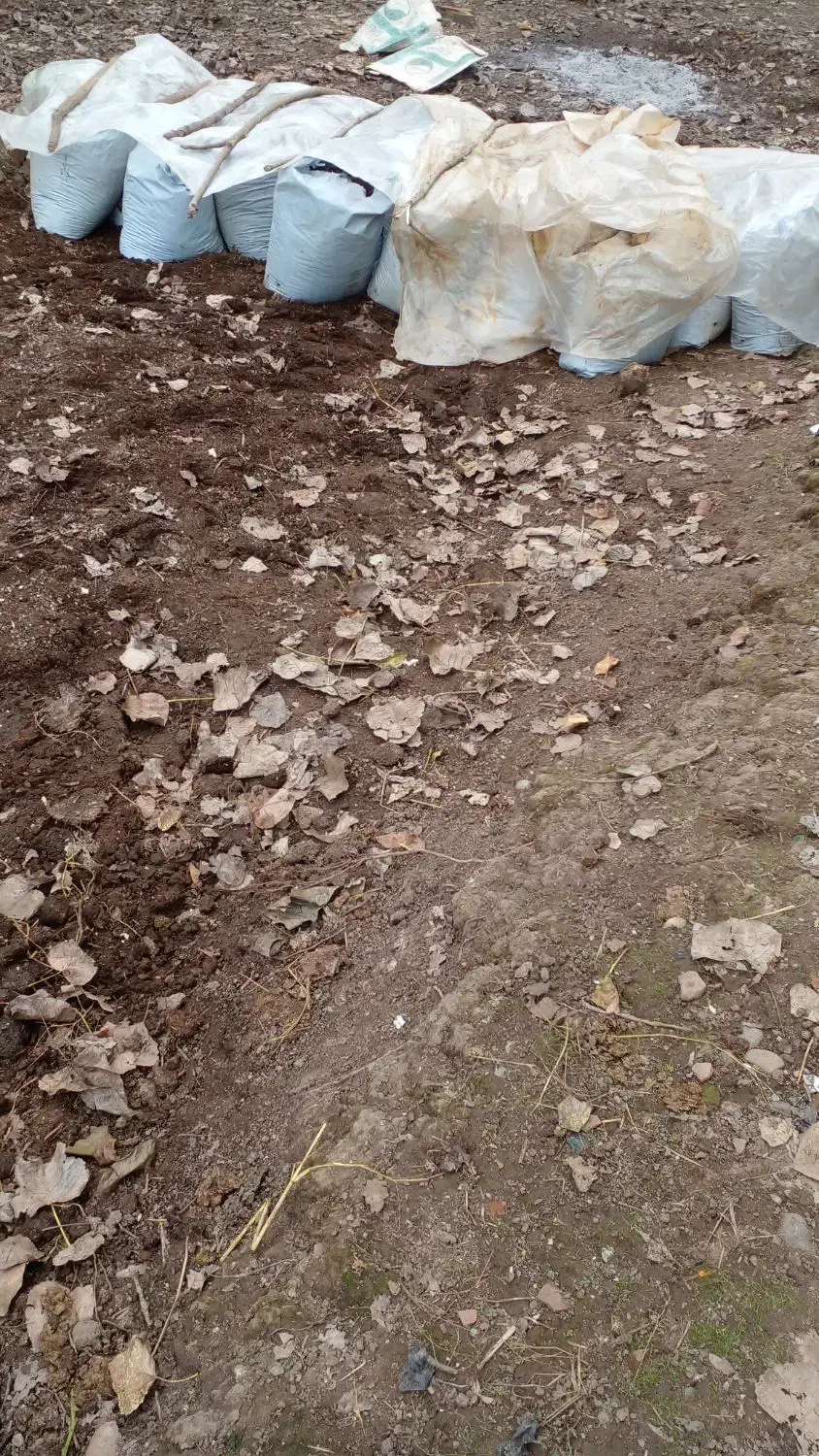 کود حیوانی|خدمات باغبانی و درختکاری|لنگرود, |دیوار