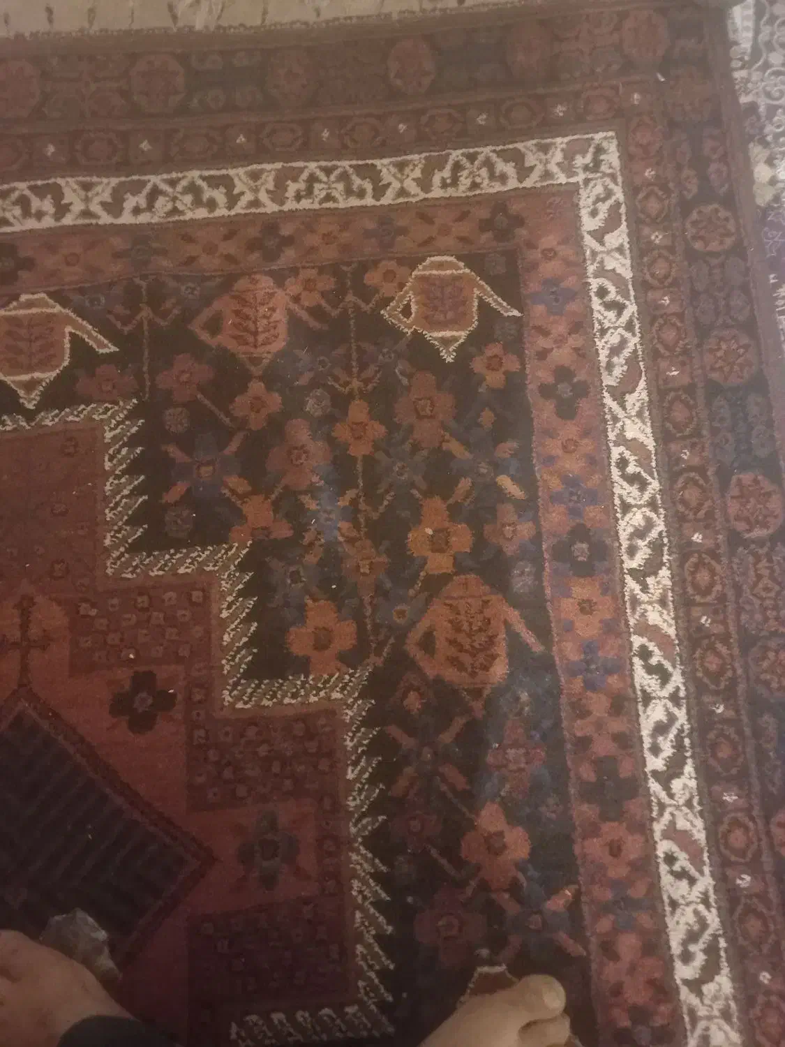 فروش فرش دسبافت عشایر کرمان|فرش|عنبرآباد, |دیوار