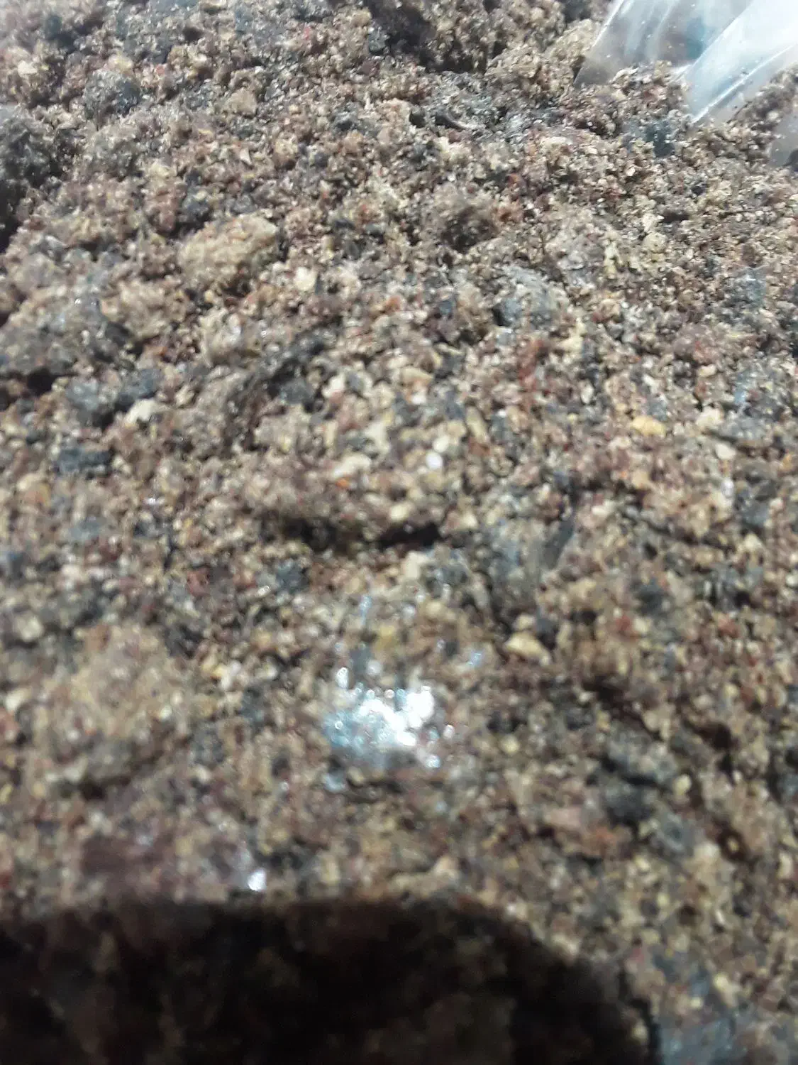 کنجالهجایگزینسویا|عمدهفروشی|کاشان, حسن آباد|دیوار