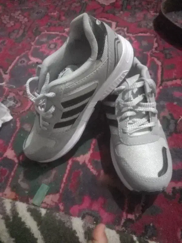 کفش کتونی آدیداس|کیف، کفش، کمربند|کرمان, |دیوار