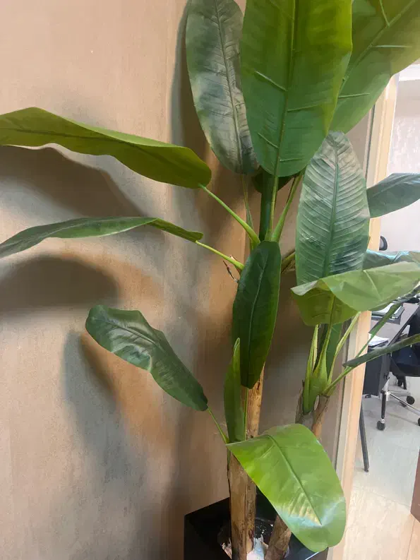 حسابدار خانم|استخدام مالی، حسابداری، حقوقی|تهران, امین حضور|دیوار