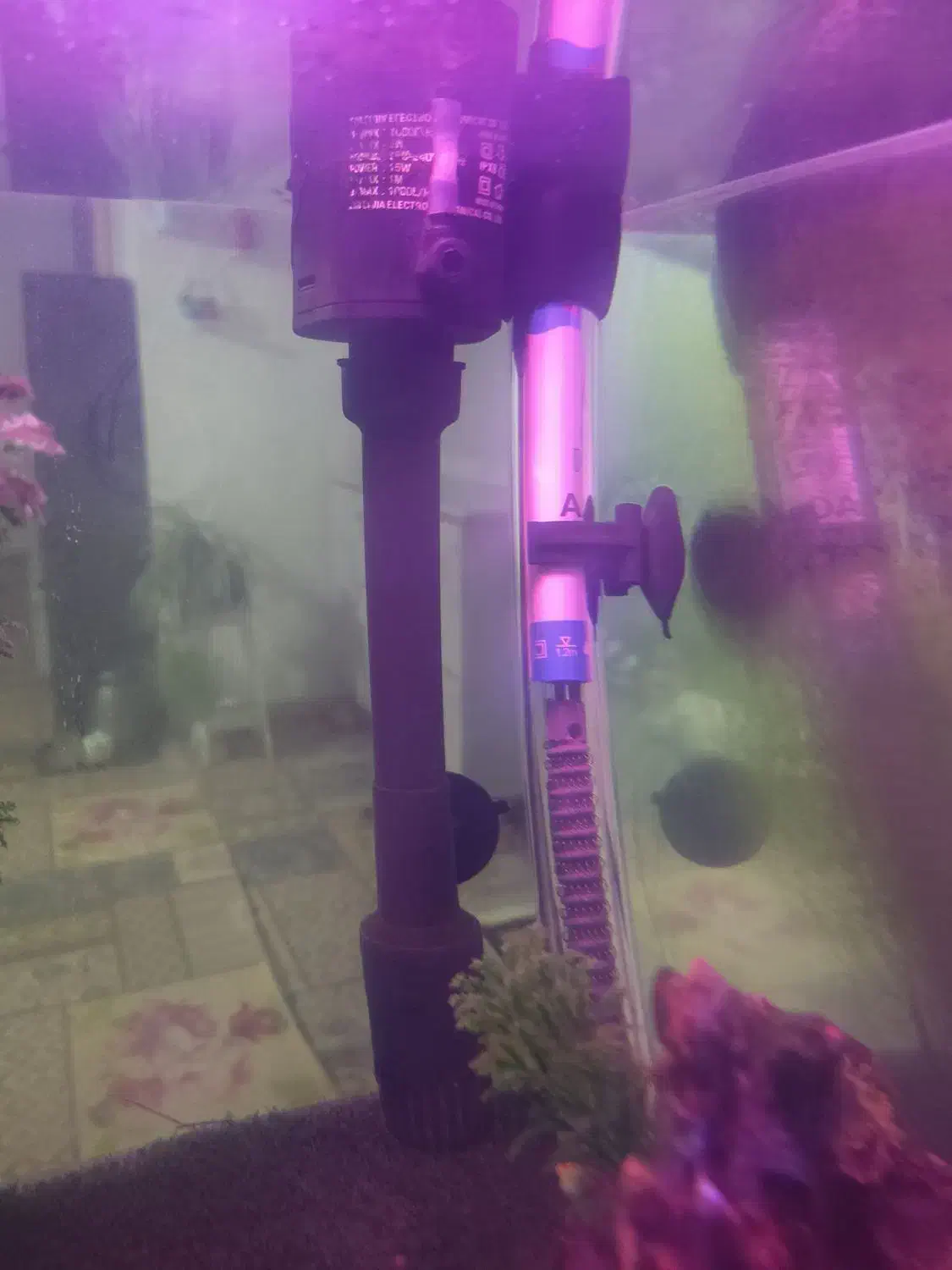 اکواریوم|ماهی|محمدشهر, محمدشهر|دیوار