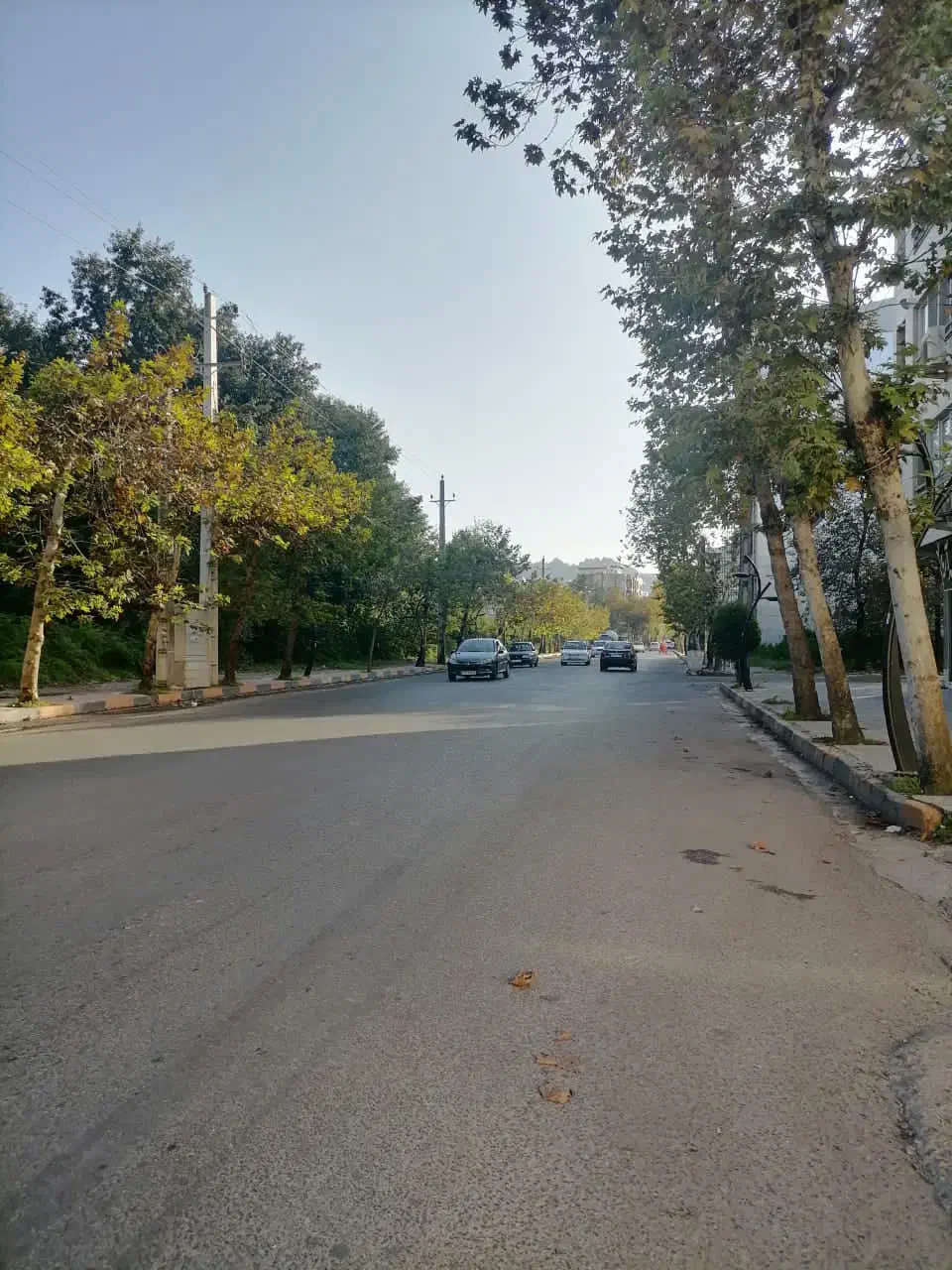 زمین ۲۴۰ متری سنددار در شیخ زاهد لاهیجان|فروش زمین و ملک کلنگی|لاهیجان, شیخ زاهد|دیوار