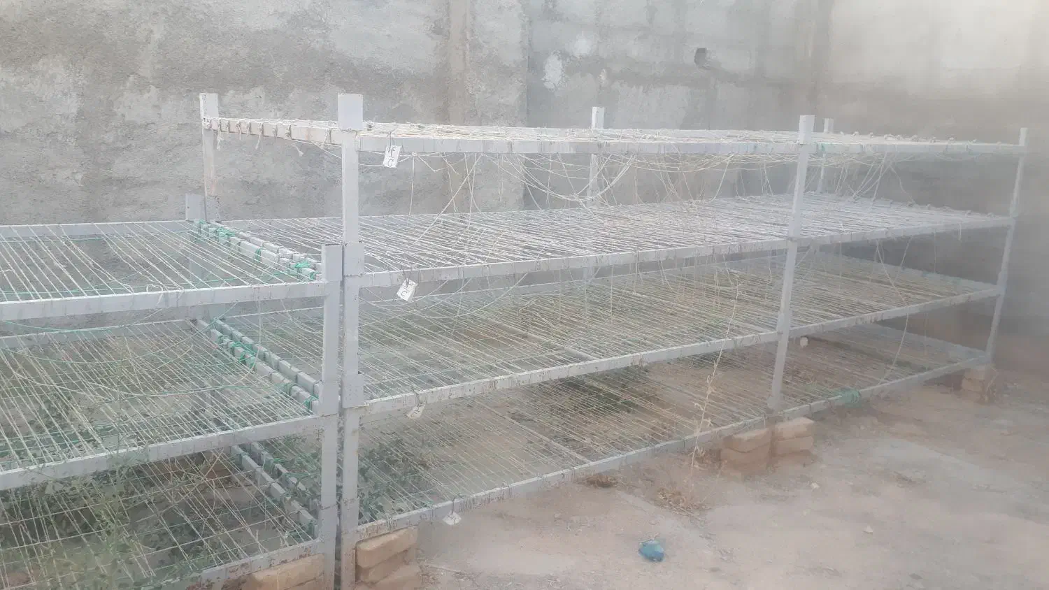 سه عدد قفسه پرورش قارچ قیمت ۱۸۸۰۰۰۰۰|ابزارآلات|سنقر, |دیوار