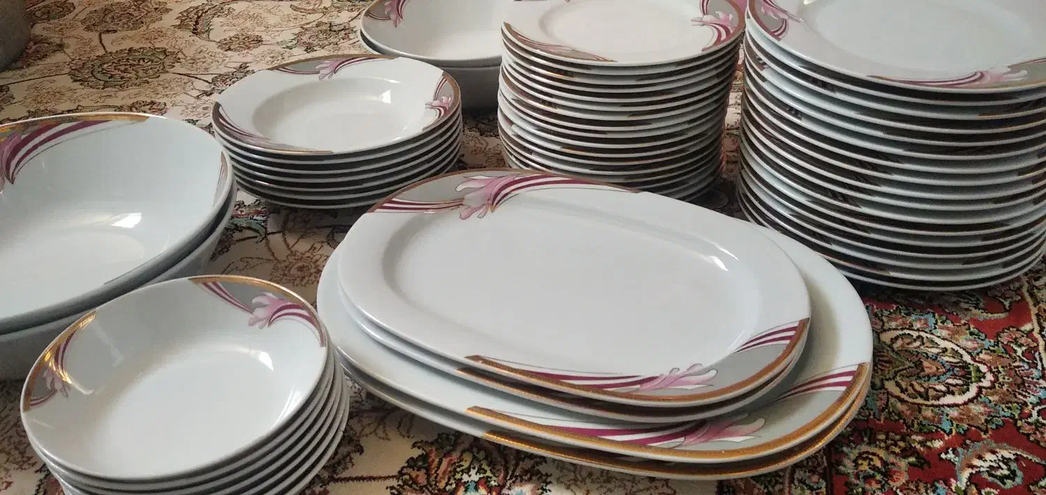 تعدادی ظروف چینی دو دیس ارکوپال|ظروف سرو و پذیرایی|اصفهان, کنگاز|دیوار