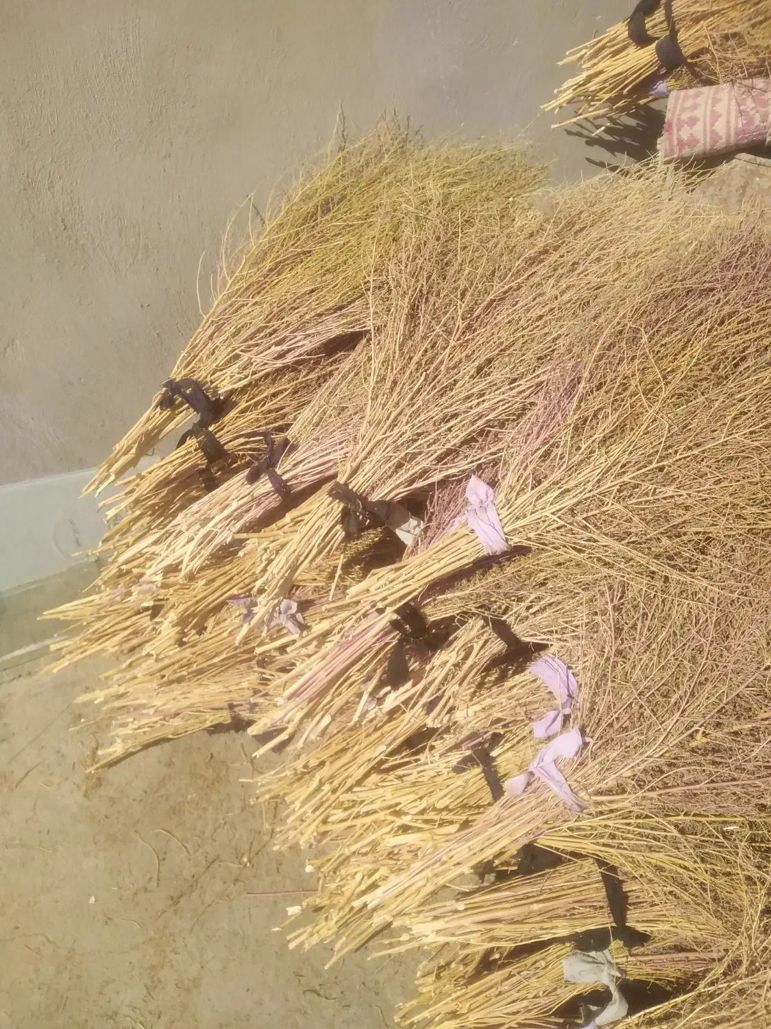 جارو|جاروبرقی، جارو شارژی، بخارشو|کوهدشت, |دیوار