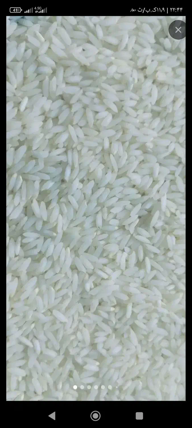 خریدار برنج. تایلندی نقد|خوردنی و آشامیدنی|حمیدیه, |دیوار