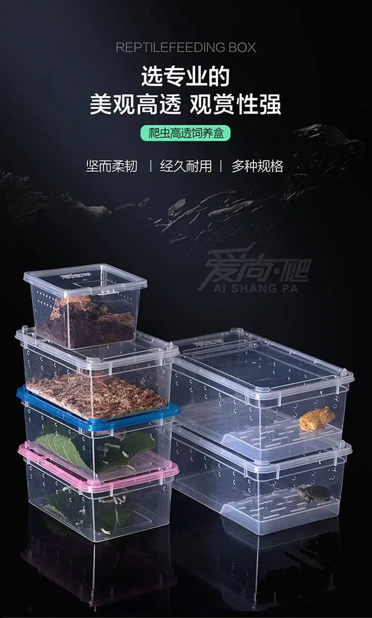 انواع خزندگان و لوازم جانبی|خزنده|تهران, آرژانتین|دیوار