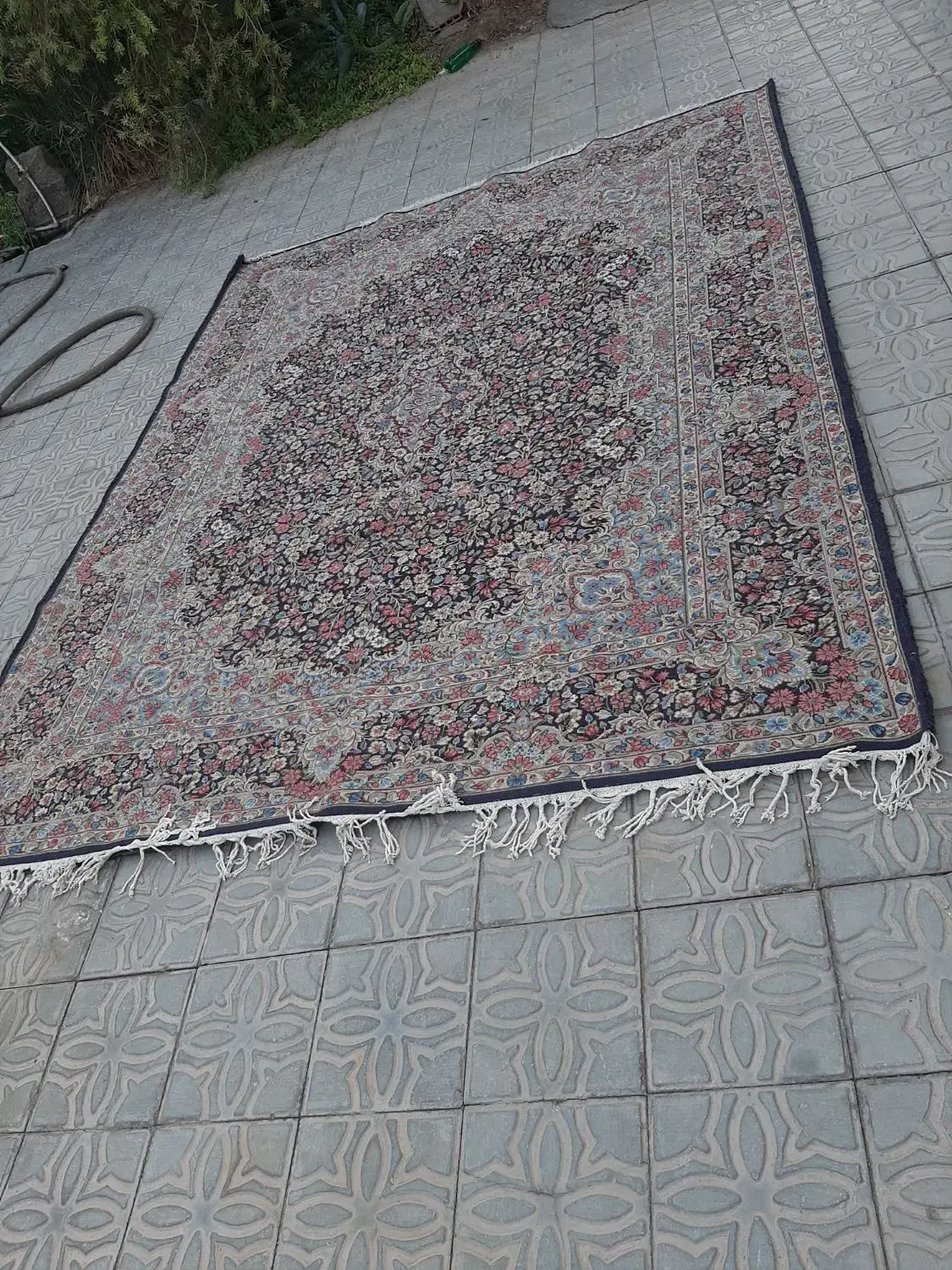 قالی دستباف سرام راوری|فرش|راور, |دیوار