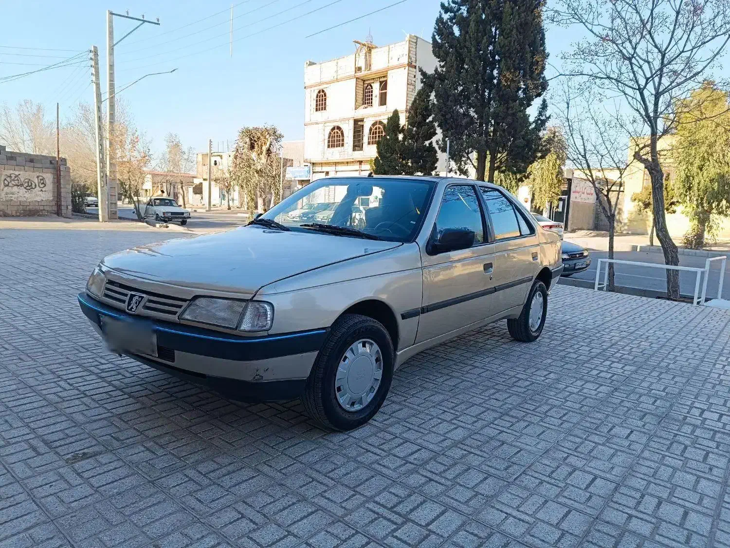 زیبایی وحشی|خودرو سواری و وانت|سیرجان, |دیوار