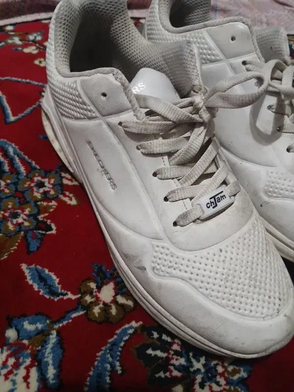 کیف ورزشی گم شده کفش فسفری|اشیا|نجف‌آباد, صالح آباد|دیوار