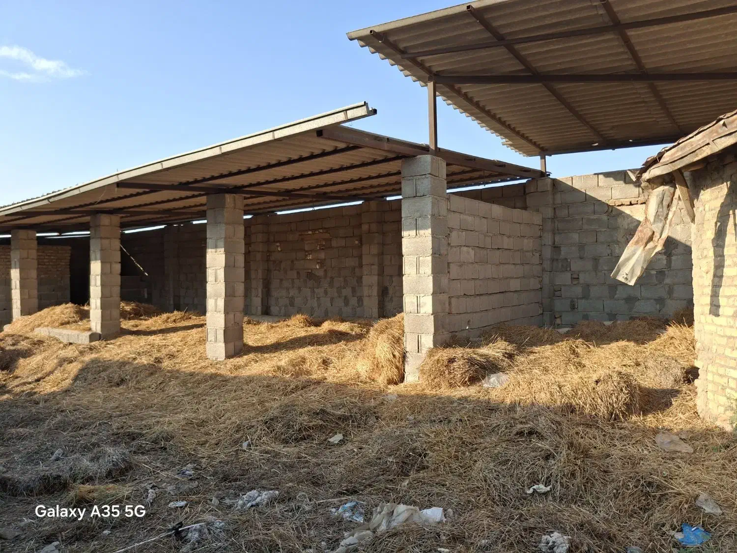 کاه گندم|لوازم جانبی حیوانات|گنبد کاووس, |دیوار