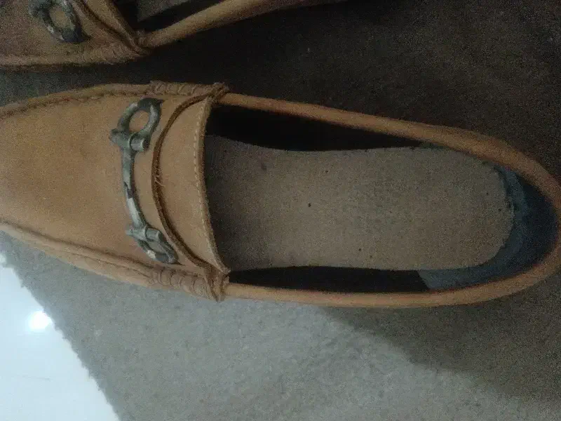 کفش کالج|کیف، کفش، کمربند|رشت, استادسرا|دیوار