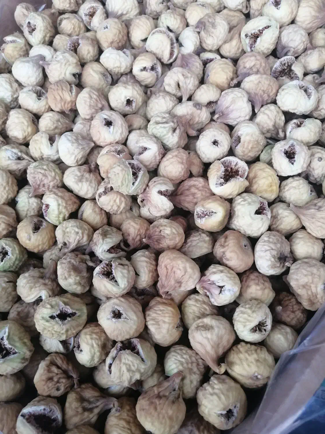 انجیر|خوردنی و آشامیدنی|شیراز, شهرک مدرس|دیوار