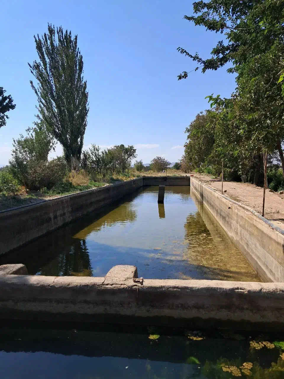 زمین باغی سند تکبرگ سند تهاتر با خودرو یا اقساط|فروش دفتر صنعتی، کشاورزی، تجاری|تاکستان, |دیوار