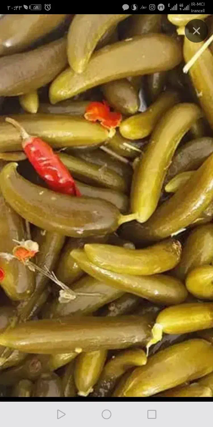 خیار شور(عمده)|خوردنی و آشامیدنی|قرچک, شهرک طلائیه|دیوار