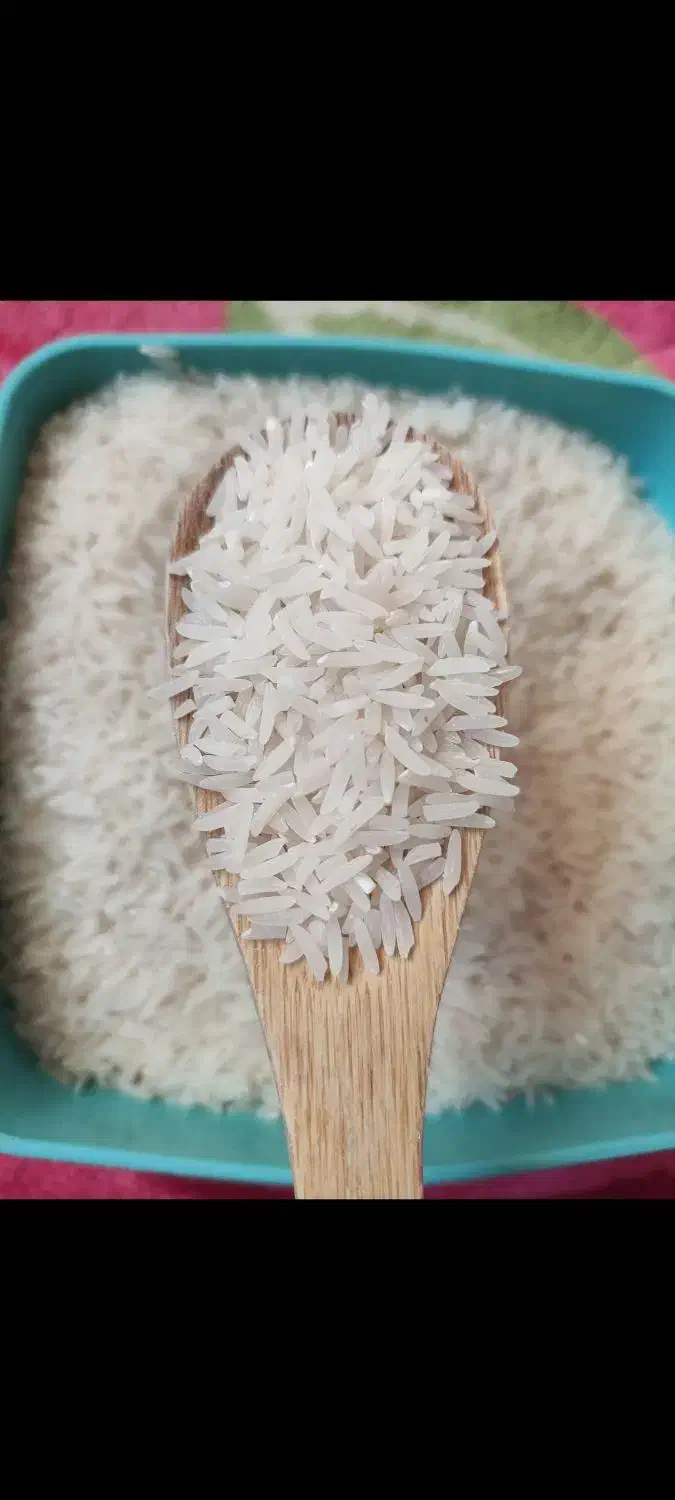 برنج خوش عطر زرینگل|خوردنی و آشامیدنی|علی‌آباد کتول, |دیوار