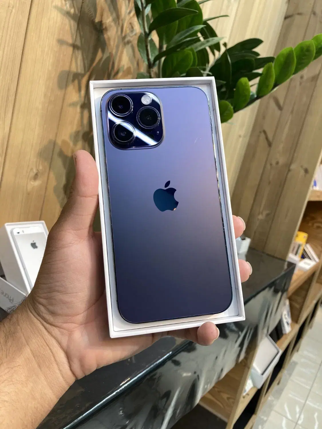 اپل iphone 14proMax|موبایل|یزد, |دیوار
