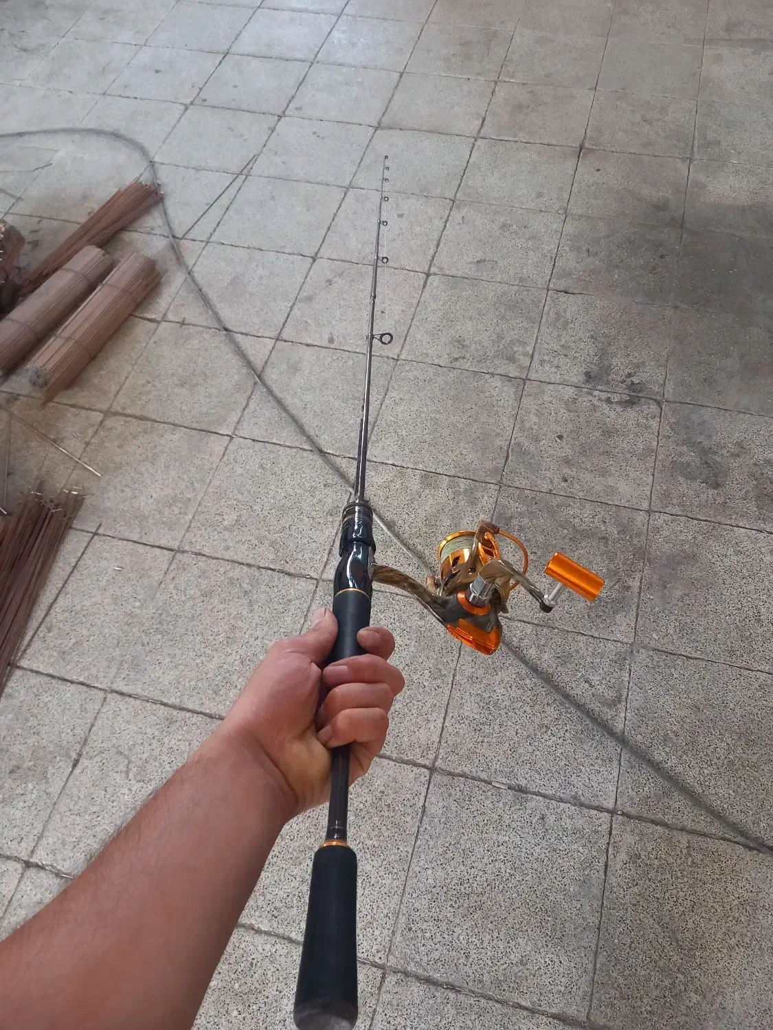 لنسر اسپین|ماهیگیری|سهند, |دیوار