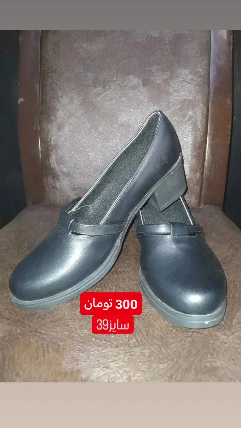 کفش زنانه|کیف، کفش، کمربند|شوشتر, |دیوار
