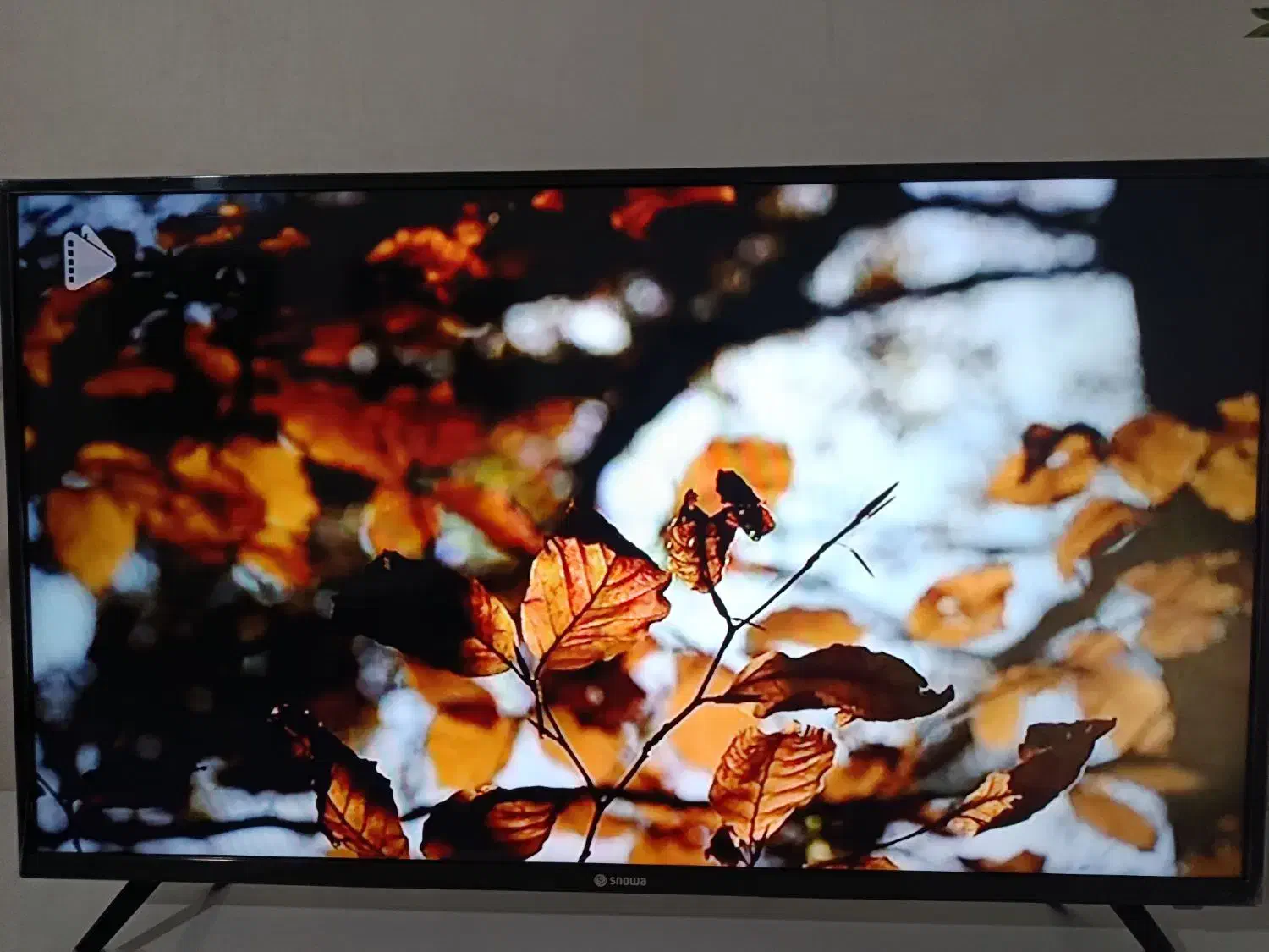 تلوزیون 43اسنوا|تلویزیون و پروژکتور|اردبیل, |دیوار