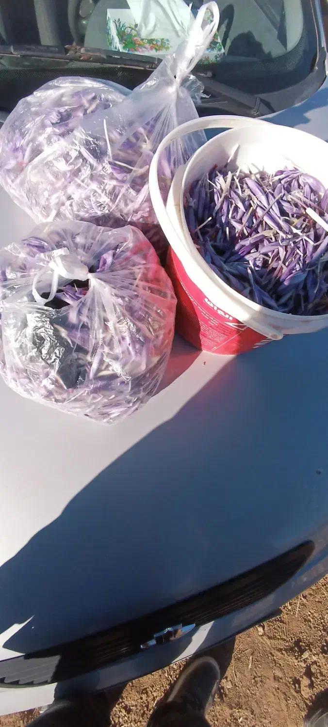 گل زعفران تربت|خوردنی و آشامیدنی|سلیمان, |دیوار