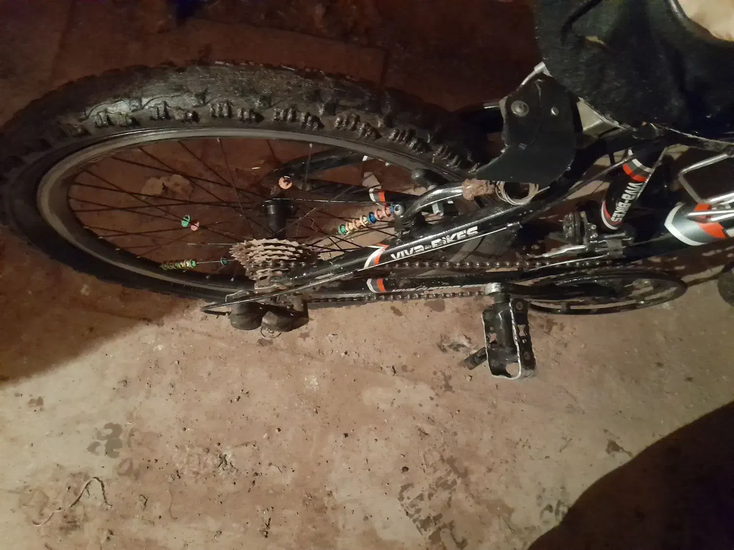 دوچرخه ۲۴و۲۰|دوچرخه، اسکیت، اسکوتر|تربت جام, میان جام|دیوار