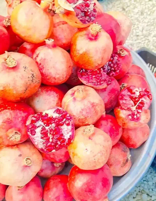 تفریح وتورگردشگری بانوان درمرودشت مقرون بصرفه|تور و چارتر|مرودشت, ثبت احوال|دیوار