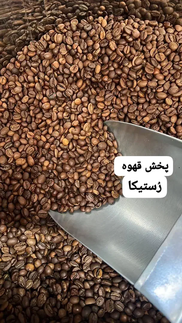پخش عمده و جزئی انواع دان قهوه با کیفیت|عمده‌فروشی|اهواز, شهرک اکباتان|دیوار