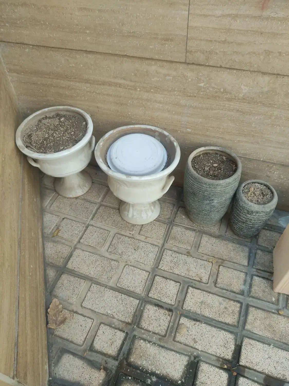 فروش گلدون|گل و گیاه طبیعی|ری, دیلمان|دیوار