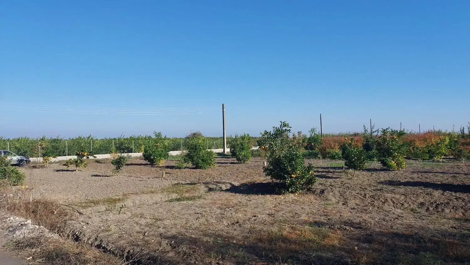 فروش زمین مسکونی|فروش زمین و ملک کلنگی|طبقده, |دیوار