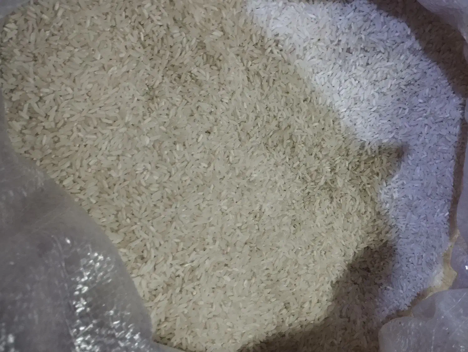 برنجفله|خوردنی و آشامیدنی|اردکان, |دیوار