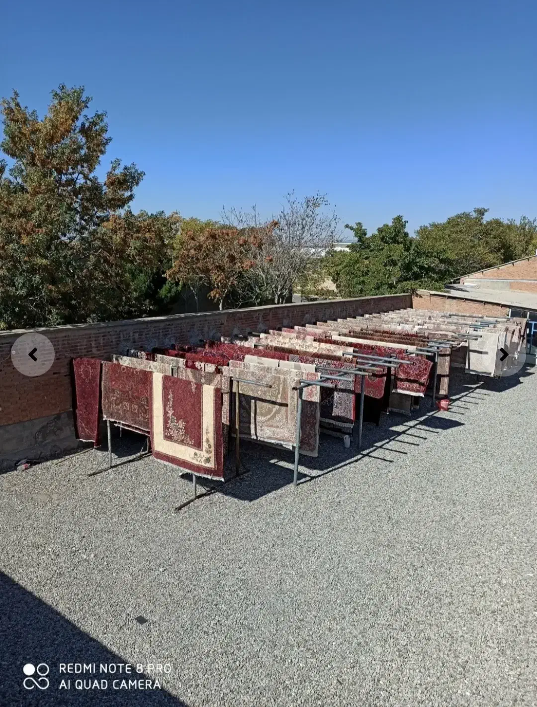 کارخانه قالیشویی کارگر شفق۳۳۲۹۴۴۴۷|خدمات نظافت|تبریز, |دیوار