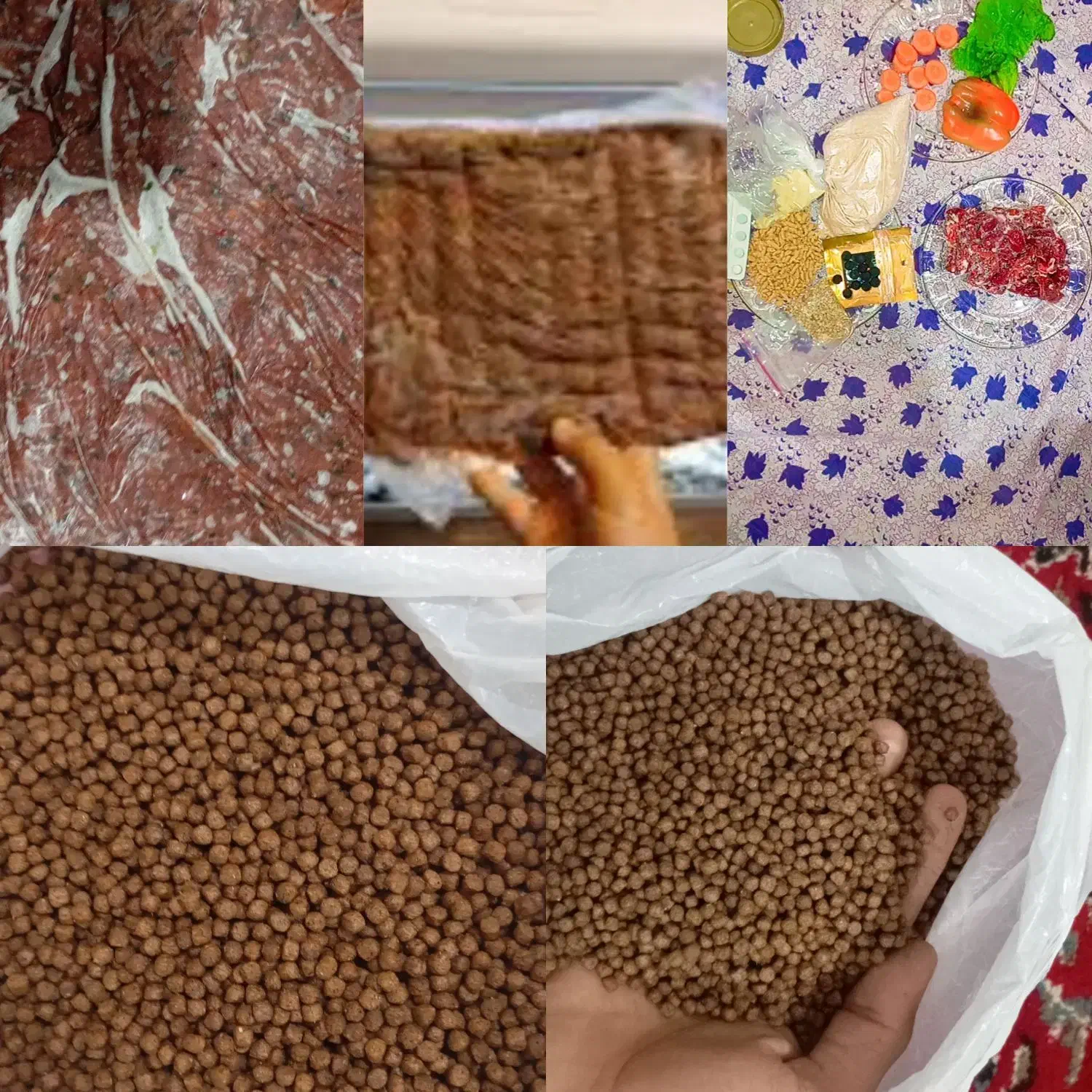میکس دل و غذا بیومار ماهی گوشت خوار و گیاهخوارکوی|ماهی|مشهد, بلال|دیوار