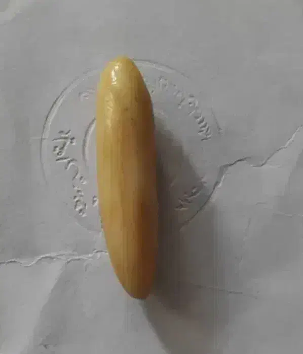 مهره و حرز|بدلیجات|زاهدان, |دیوار