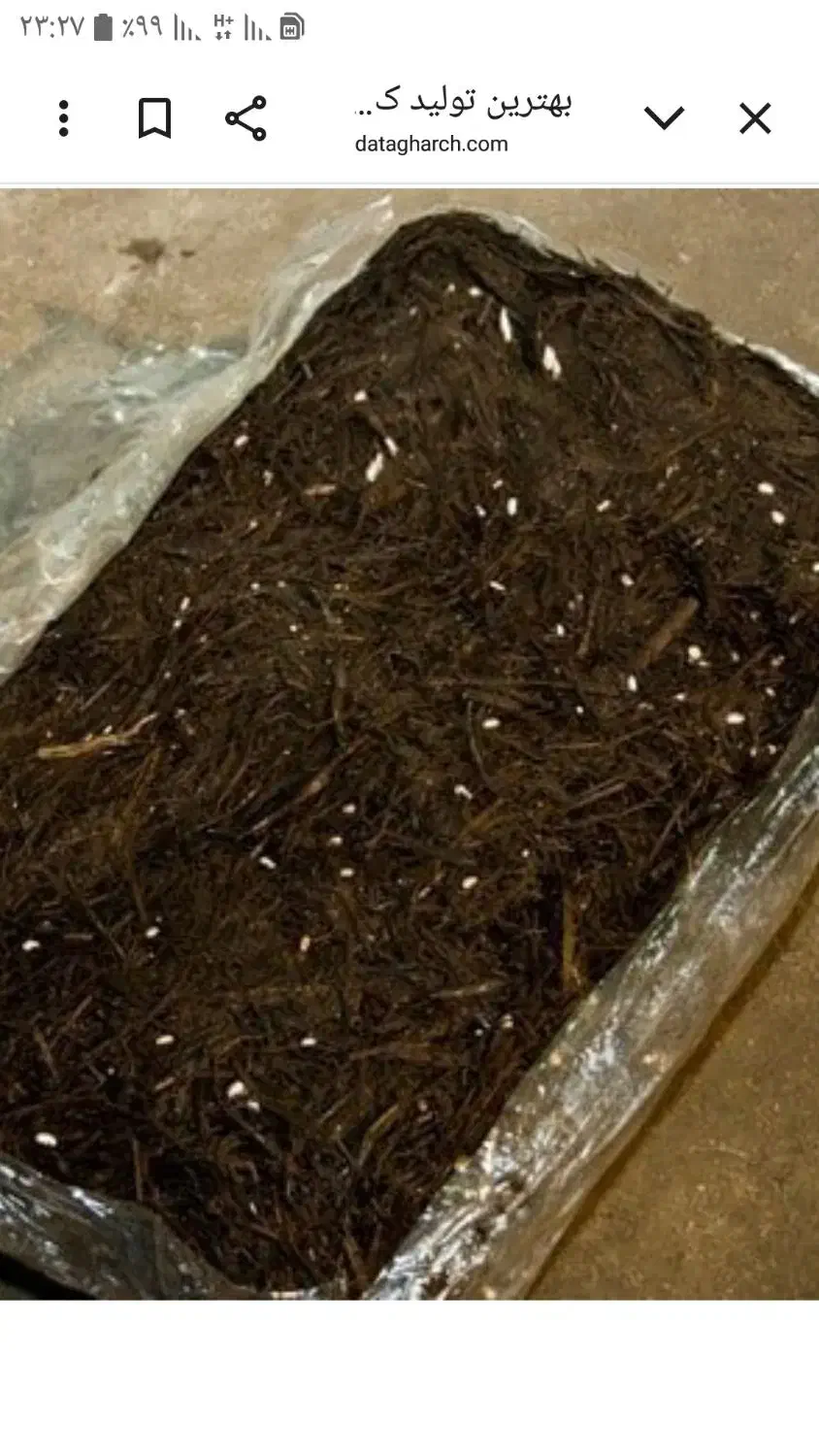 کود کمپوست قارچ|خدمات باغبانی و درختکاری|اردبیل, |دیوار