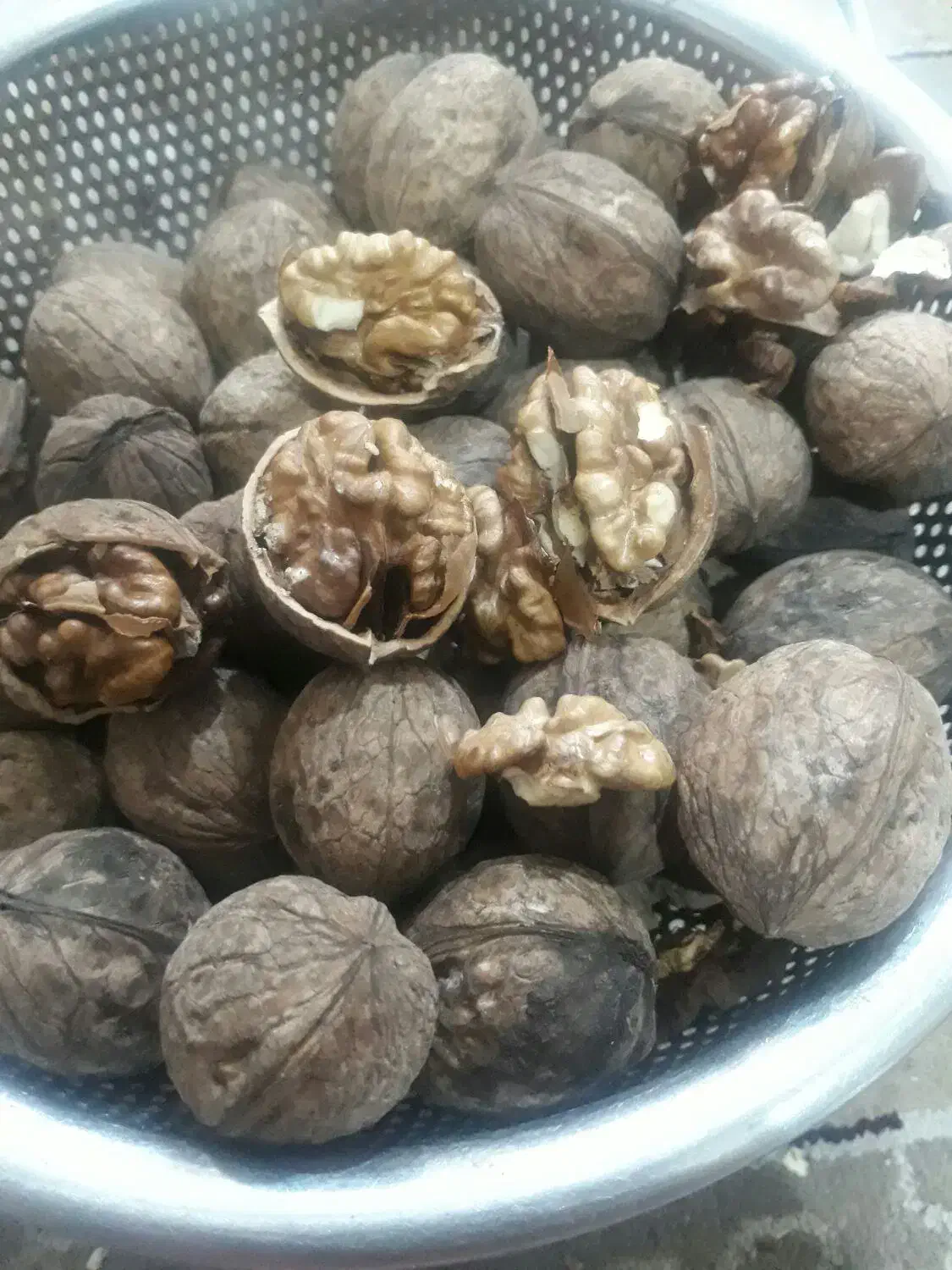 ِسه مدل درجه ۱ و ۲ و ۳|خوردنی و آشامیدنی|قم, آزادگان|دیوار