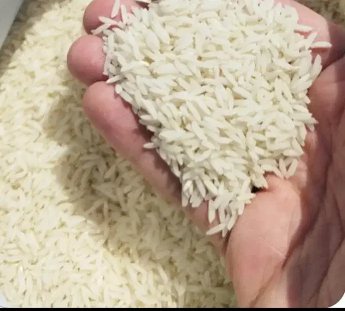 برنج چمپا درجه ۱ ارگانیک|خوردنی و آشامیدنی|دهدشت, |دیوار