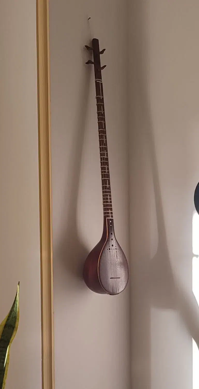 سه تار محمدی|سازهای سنتی|تبریز, |دیوار