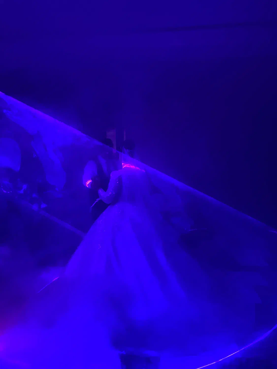 گروه موسیقی دیجی خانم جهت عروسی|خدمات پذیرایی، مراسم|بروجرد, |دیوار