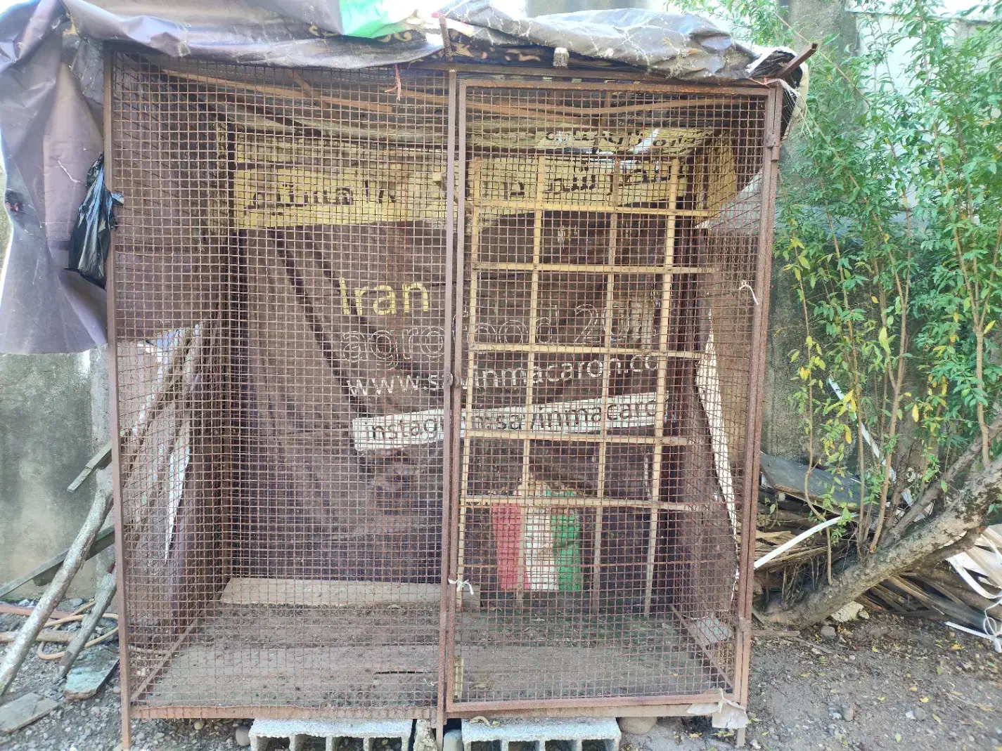 قفس آهنی|لوازم جانبی حیوانات|املش, |دیوار