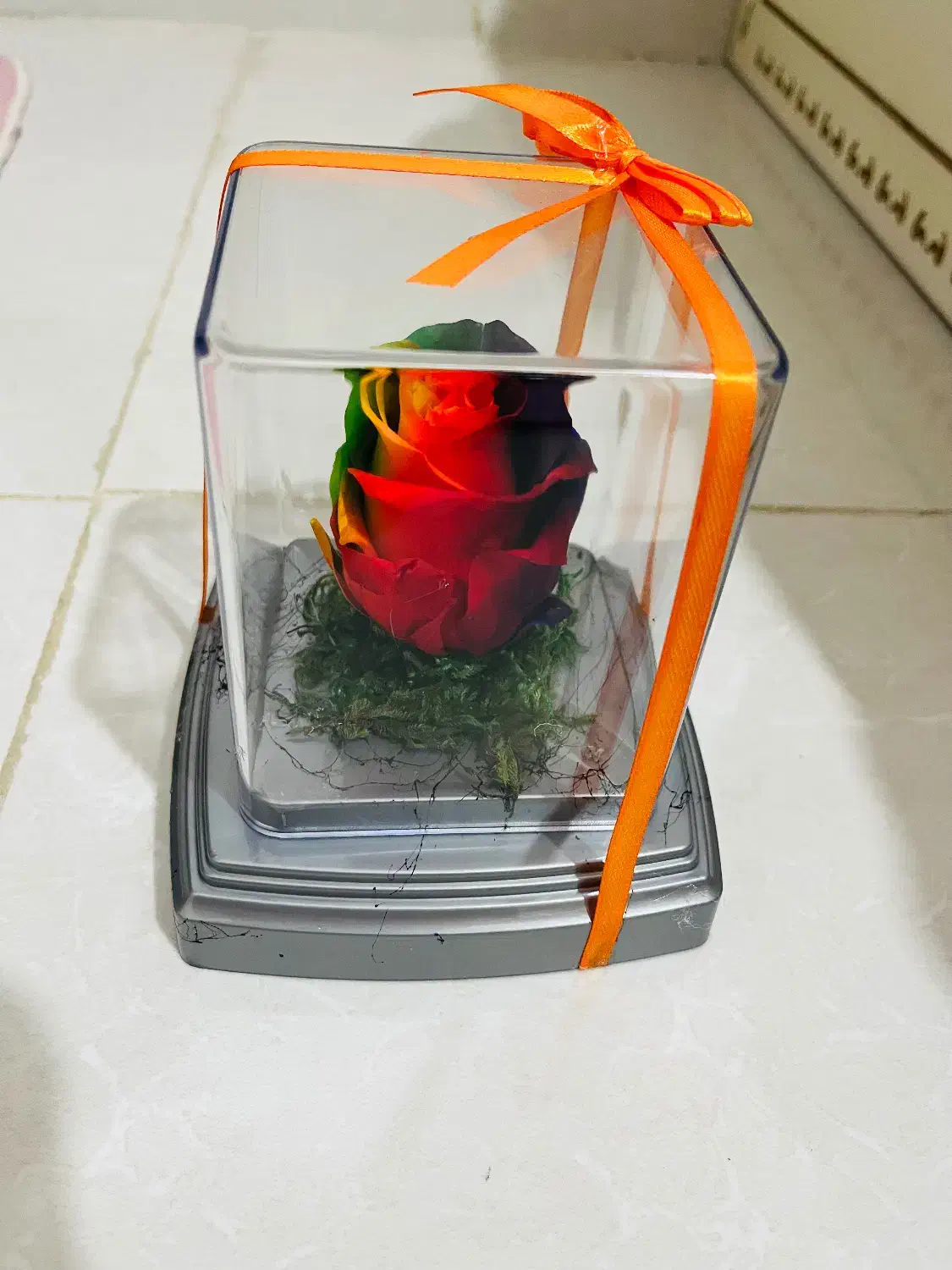 رز جاودان|گل مصنوعی|اردبیل, |دیوار