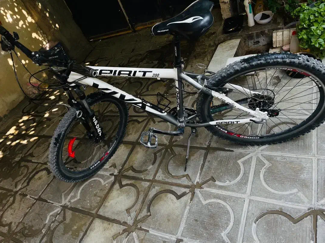 دوچرخه ویوا|دوچرخه، اسکیت، اسکوتر|نیریز, |دیوار